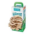 Back To The Roots Grow Kit for Moderate Sun BA6108
